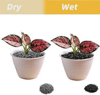 Natural gray gravel layered inside a glass terrarium