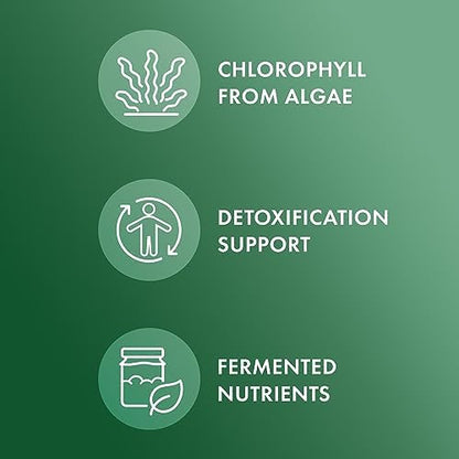 Back of Dr. Mercola Fermented Chlorella bottle showing ingredients
