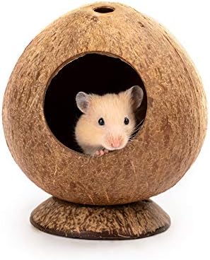 andwe Coconut Hut Hamster House Bed for Gerbils Mice Small Animal Cage Habitat Decor - Image 2