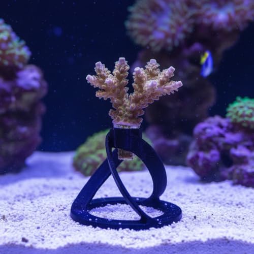 Thsaot SPS And LPS Coral Frag Sand Mounts Product Dimensions
