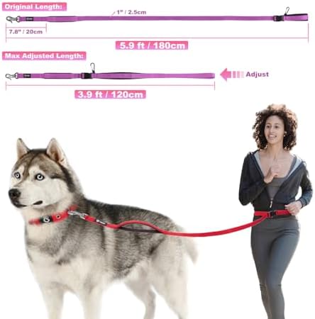 TSPRO dog leash showing adjustment buckle mechanism