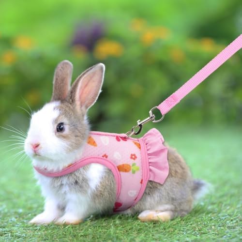 Hotlion small animal clothes showcasing the elastic cushioning pads and soft borders