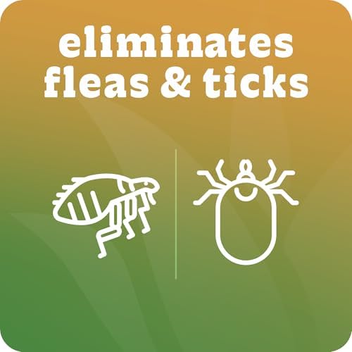 Aloe vera based flea and tick protection dog shampoo