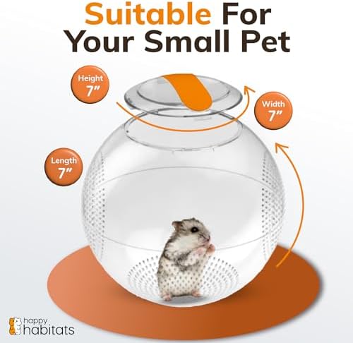 Transparent pet exercise ball engineered for mice and gerbils close up shot.