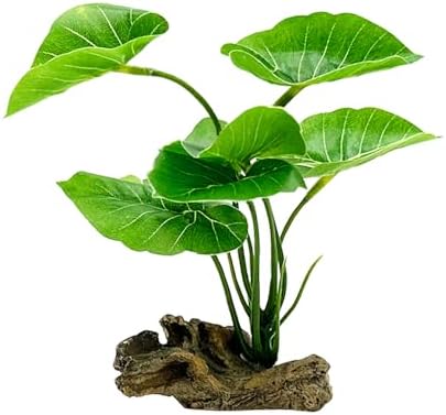 Smoothedo-Pets betta leaf pad hammock aquarium decoration close up view