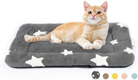 Mora Pets Washable Dog Crate Pad with a ginger cat resting comfortably.
