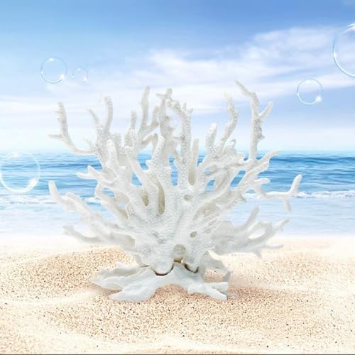 Besimple premium imported white coral aquascaping decoration base