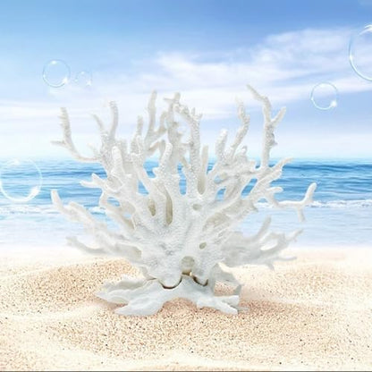 Besimple premium imported white coral aquascaping decoration base