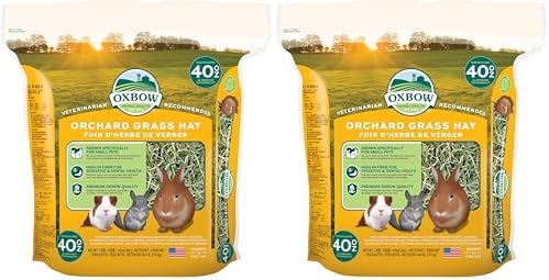 Oxbow premium long strand fiber hay for rabbits and guinea pigs