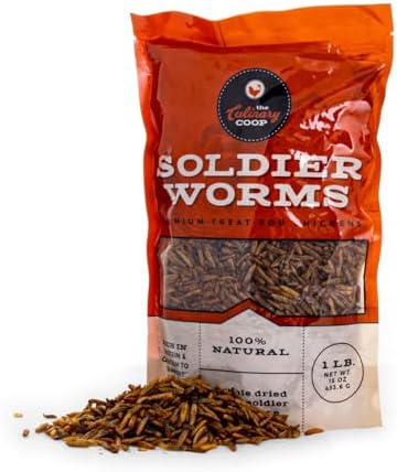 Fluker's black soldier fly larvae close up texture
