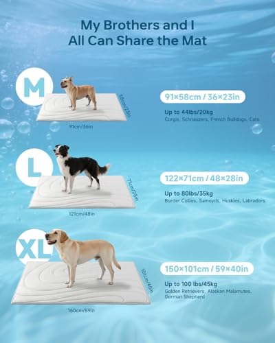 Folded Babygreat pet cooling mat highlighting portable lightweight design