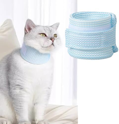 Manon Rosa cat neck brace cover front view for post surgery pet recovery.