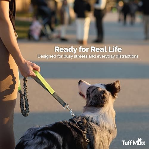 Close up of Tuff Mutt leash shock absorbing hardware