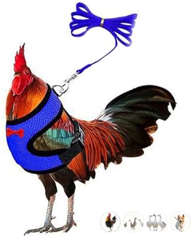 WeimoMonkey breathable three layer mesh pet vest in blue showing adjustable strap mechanism.