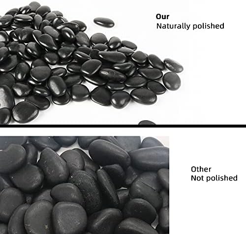 Black pebbles for plants in a transparent vase filler