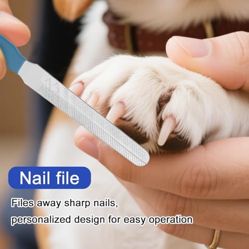 Professional reptile grooming tool kit for chameleons and turtles