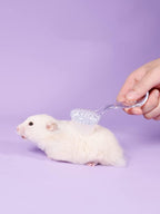 TTMIMIK soft grooming brush with lid close up view
