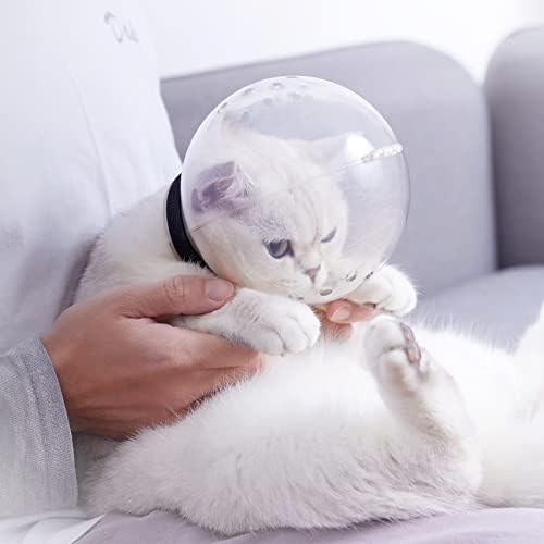 Full packaging contents of the authentic imported Augegel pet restraint system for cats and puppies