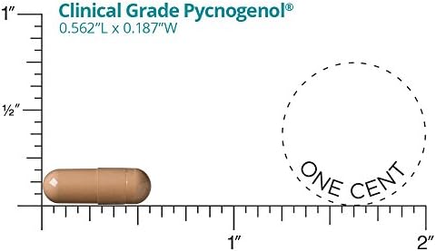 Back label of Dr. Whitaker Pycnogenol showing ingredients and directions