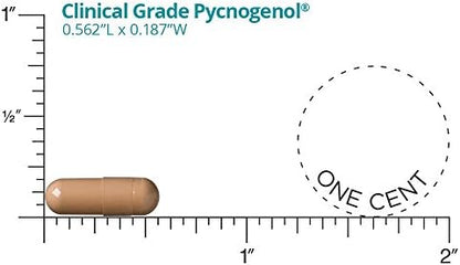 Clinical grade Pycnogenol 50mg dietary supplement capsules for vascular health