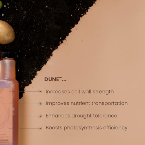 Dune silica supplement for hydroponics and soil gardening