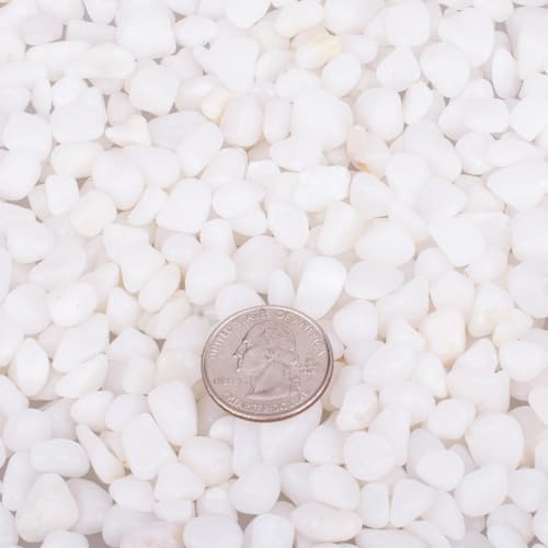 Hot Seal decorative river rocks used in succulent plant pot