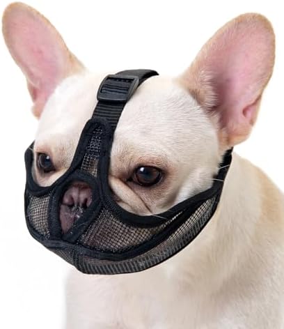 Side profile of short snout dog wearing black mesh muzzle
