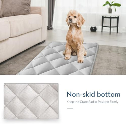 Magik And Kover twenty four inch pet cushion showing the exact dimensions for small dogs