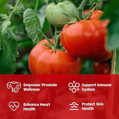 Ganoherb Lycopene and Reishi mushroom capsules label details with ingredient list