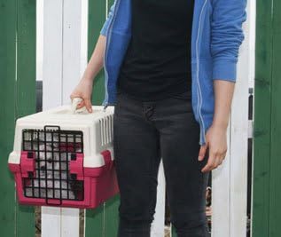 Alpha Dog Series pink plastic dog kennel side view with ventilation slots
