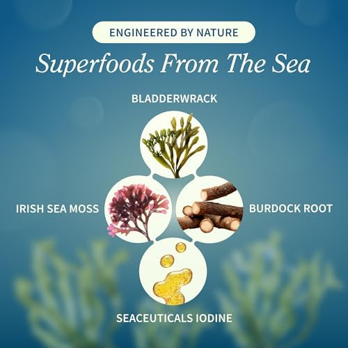 Snap Supplements Irish Sea Moss vegan capsule close up
