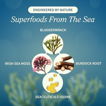 Snap Supplements Irish Sea Moss vegan capsule close up