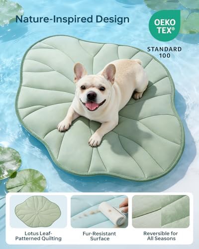 BG-BABYGO thick silicone sponge pet mat being placed on a sofa