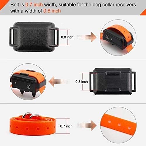 EveryPet 27.5 inch training collar strap packaging
