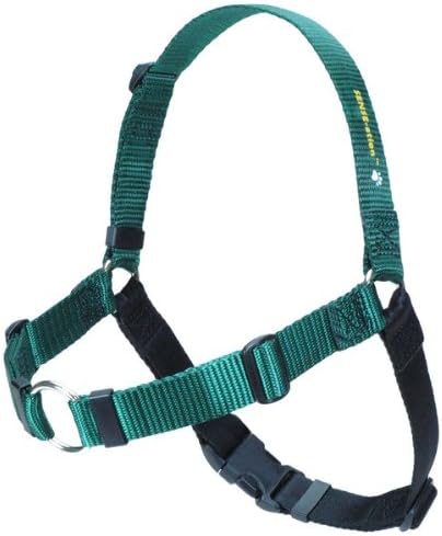 The Original Sense-ation No-Pull Dog Training Harness in green, front view showing leash attachment.