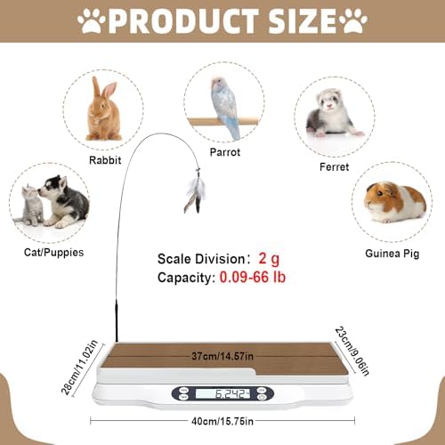 Kanmeii puppy and kitten weight scale close up focusing on the backlit tare and hold buttons.