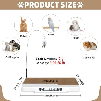 Kanmeii puppy and kitten weight scale close up focusing on the backlit tare and hold buttons.