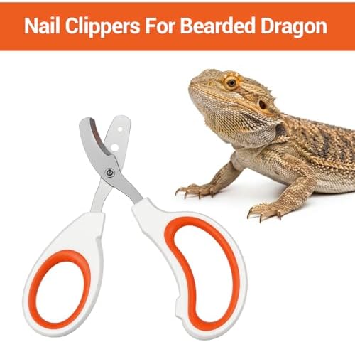 Stainless steel small pet nail scissors packaging overview.