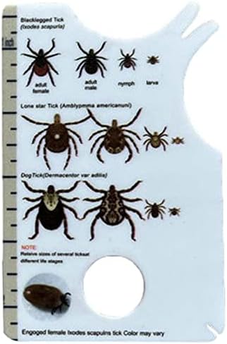 Yhaili portable tick card inside a wallet for scale