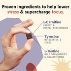 Pym Health Attention Chews supplement nutrition facts