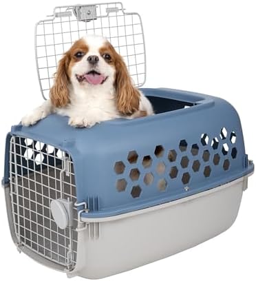 Top loading door open on the generic blue plastic travel pet crate