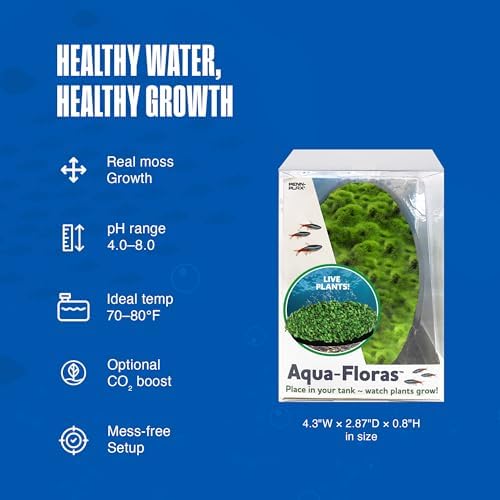 Lush green carpet growth on the Penn-Plax freshwater aquarium ornament.