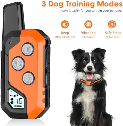Side profile of dog wearing PIOUNS training collar