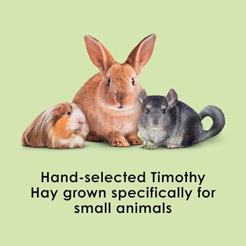 Kaytee 60 ounce timothy hay compressed layers close up