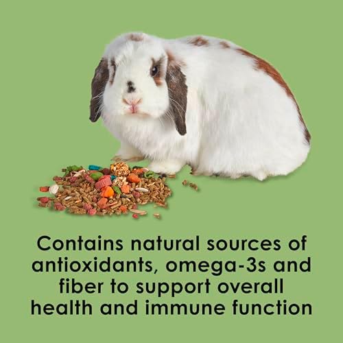 Kaytee Fiesta Rabbit Food daily feeding presentation