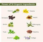 Microfine texture of Indus Valley Indigo leaf powder for smooth lump free hair color mixing