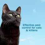 Kitten safe flea and tick shampoo bottle close up