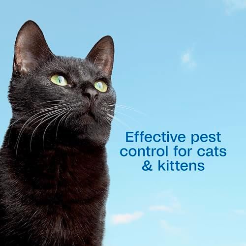 Kitten safe flea and tick shampoo bottle close up