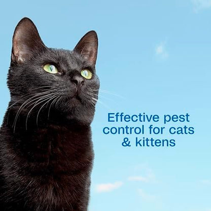 How to use Adams Plus flea and tick foaming cat shampoo guide