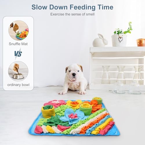 Ankilo Snuffle Mat with treats hidden for foraging